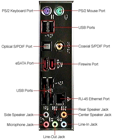Back Panel Connectors Back Panel Connectors