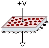 Electron charges on capacitor