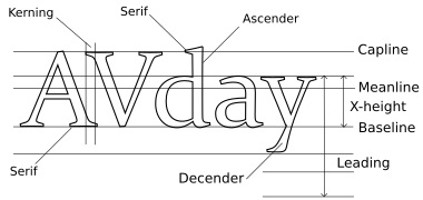 Type Terminology